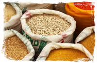 Hochfeld grains pty ltd