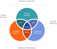 Talent acquisition limited - marketing recruitment