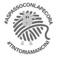 Tintoria mancini s.a.s. di mancini mario & c.