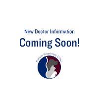 Brewer veterinary clinic