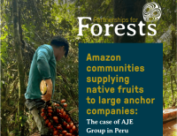 Amazon fruit perú