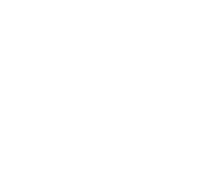The heffelfinger company