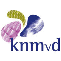 Knmvd