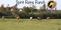 Spirit reins