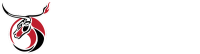 The taurean group, llc