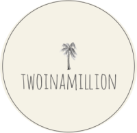 Twoinamillion fashion agency