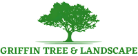 Jackson MS Tree Care Service