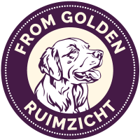 Nova mist golden retrievers