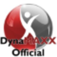 Dynamaxx international