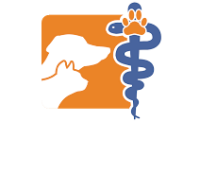 Jelsema veterinary clinic