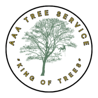 AAA 4 Trees