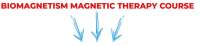Curso de biomagnetismo
