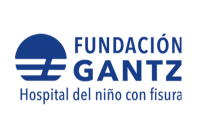 Fundación gantz