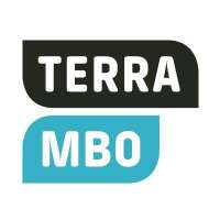 Terra mbo