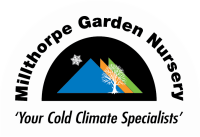 Millthorpe children's garden