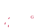 Phoenix relocation group s.r.l.