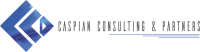 Caspian accounting and consulting services
