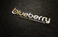 Blueberry payment solutions