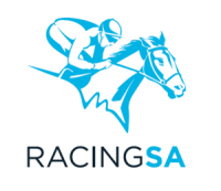 Fantastic racing (sa) (pty) ltd
