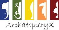 Study association archaeopteryx