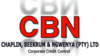 Chaplin beekrum & ngwenya (pty) ltd