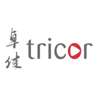 Tricor services limited