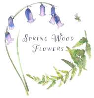 Springwood florist