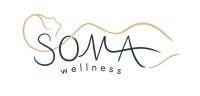 Soma massage & wellness