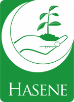 Haselson international