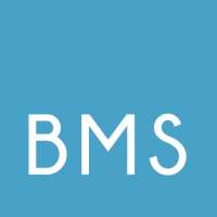 Bull market securities inc.