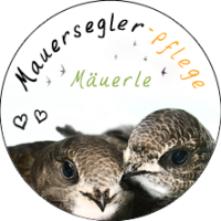 Maursegler