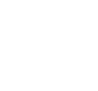Satel north america