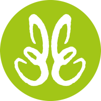 Eva eckle marketing services