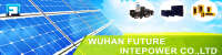 Wuhan intepower co., ltd.