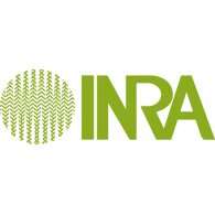 Inra soluciones