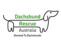 Dachshund rescue australia inc.