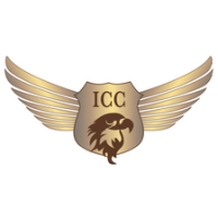 Involatus carrier consulting gmbh