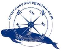 Cetáceos & navegación