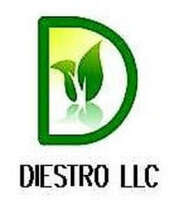 Diestro s de rl de cv