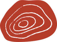 Archaeological solutions australia pty ltd