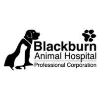 Blackburn animal hospital