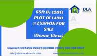 Dla investments ltd