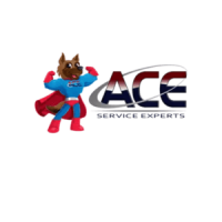 ACE Service Experts