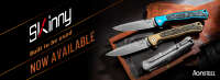 Lionsteel group