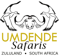 Umdende hunting safaris