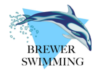 Brewer swimming