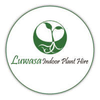 Luwasa Indoor Plant Hire