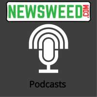 Newsweed.com