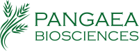 Pangea-pag depur slu