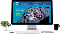 Jellyweb digital media